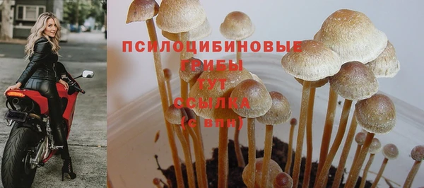 спиды Абдулино